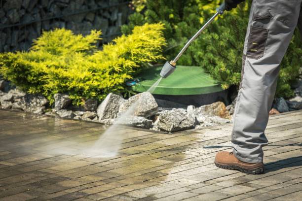 Best Pre-Holiday Cleaning  in Vernon Center, NJ